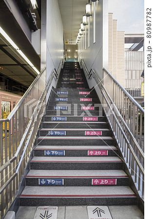 階段　多摩動物公園行き　ホーム　高幡不動駅 80987782