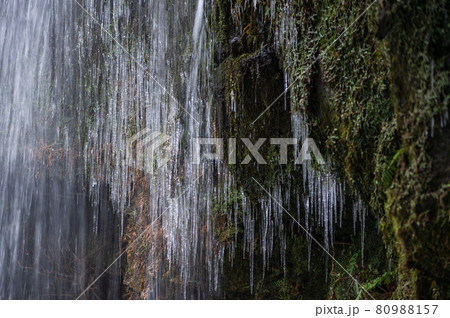 冬の鍋ケ滝の氷と雪の冬景色 冬の鍋ケ滝の氷と雪の冬景色 80988157
