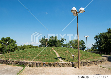 花博記念公園 鶴見緑地 花博記念公園 鶴見緑地 80988357