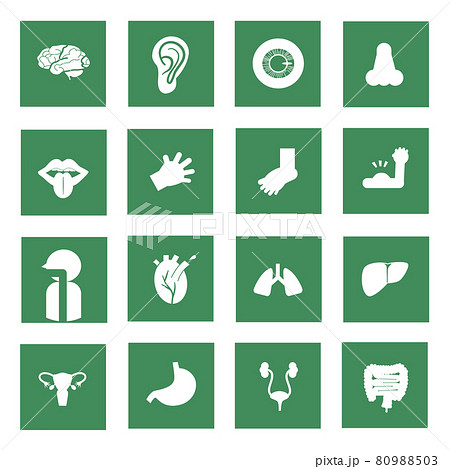 Human body built-in pictogram Green Ksquareframe Human body built-in pictogram Green Ksquareframe 80988503