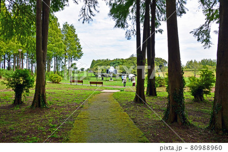 福岡県築上町メタセの杜に展示された戦闘機を見学する人物 80988960