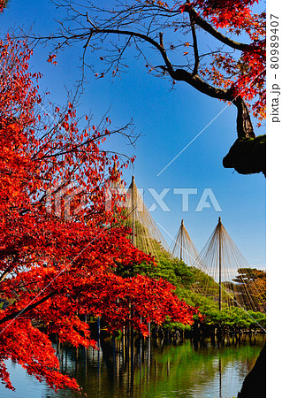 兼六園 80989407
