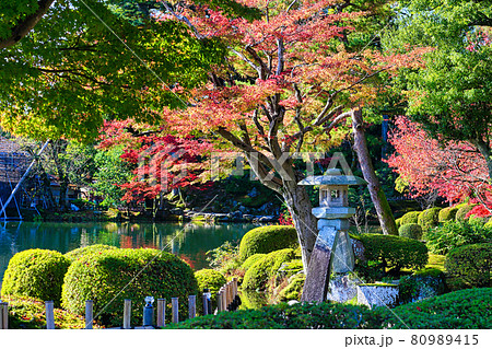 兼六園 兼六園 80989415