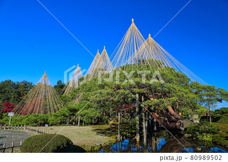 兼六園 兼六園 80989502