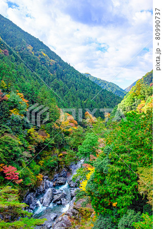 【東京都 奥多摩】鳩ノ巣渓谷の紅葉 【東京都 奥多摩】鳩ノ巣渓谷の紅葉 80990737