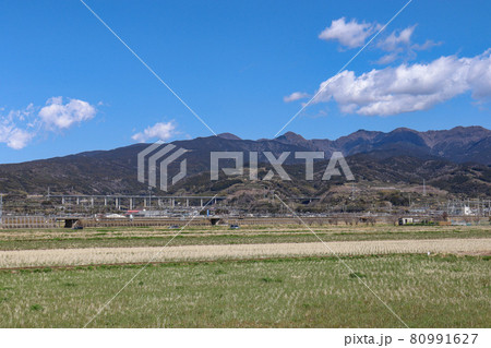 富士市中里付近の農地と愛鷹山（静岡県富士市） 80991627