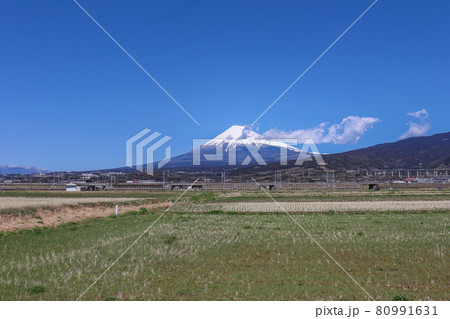 富士市中里付近から見た富士山（静岡県富士市） 80991631