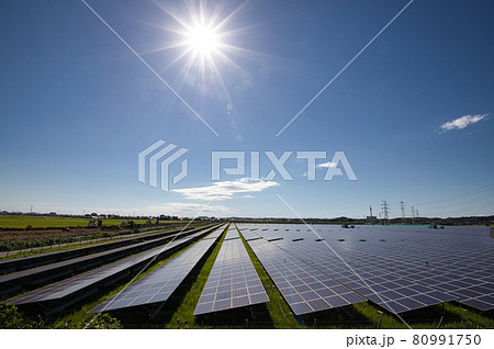 茨城県　メガソーラー（大型太陽光発電所） 80991750