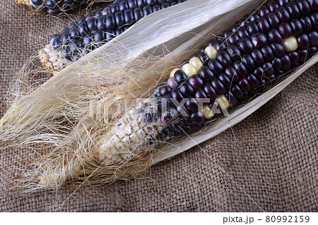 Colorful corn background Colorful corn background 80992159
