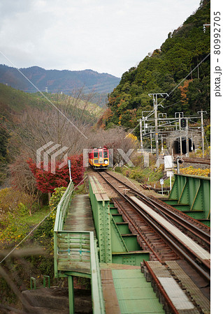 トロッコ電車　嵯峨野号 80992705