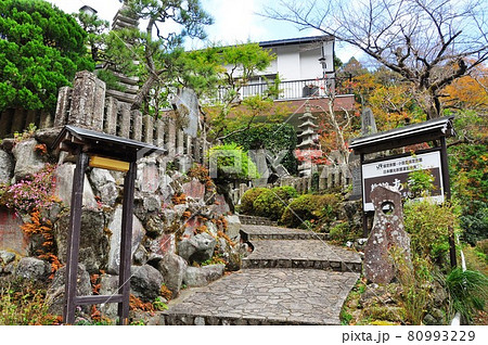 伊勢原市 大山こま参道沿いの旅館あさだ前と紅葉 伊勢原市 大山こま参道沿いの旅館あさだ前と紅葉 80993229