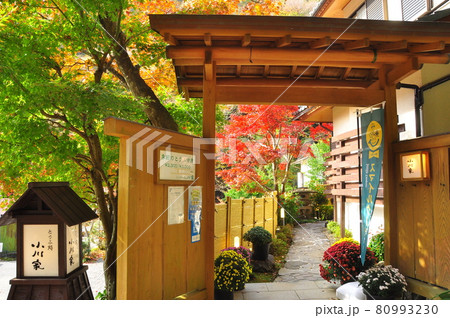 伊勢原市　大山こま参道沿いの小川家門と鮮やかな紅葉 80993230