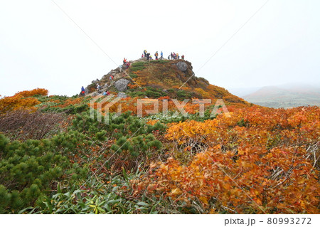 三ツ石山　紅葉 80993272