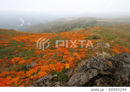 三ツ石山　紅葉 80993294