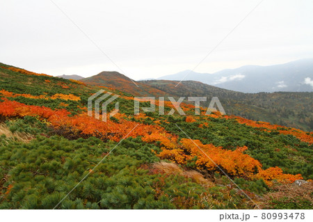 三ツ石山　紅葉 80993478