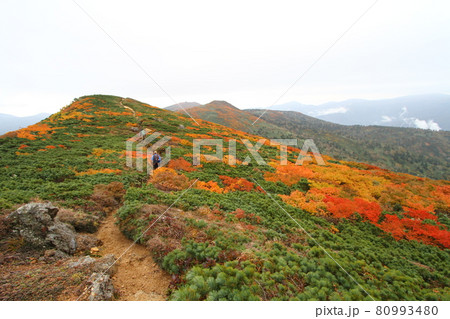 三ツ石山 紅葉 三ツ石山 紅葉 80993480
