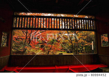 鶴仙渓 鶴仙渓 80994452