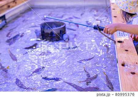 南知多ビーチランドの釣り堀 80995376