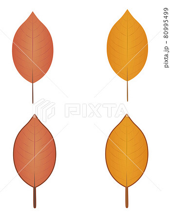 秋の木の葉イラストのイラスト素材