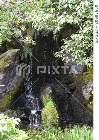 金閣寺 龍門の瀧 夏の京都 金閣寺 龍門の瀧 夏の京都 80995660