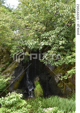 金閣寺 龍門の瀧 夏の京都 金閣寺 龍門の瀧 夏の京都 80995662