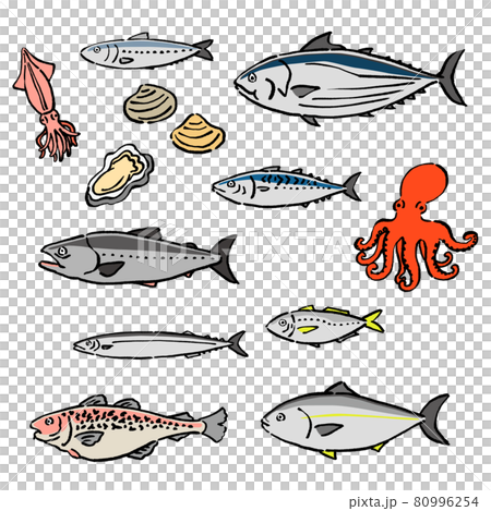 墨絵風の旬の魚のベクターイラストセット 80996254