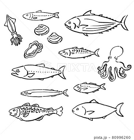 墨絵風の旬の魚のベクターイラストセット 80996260