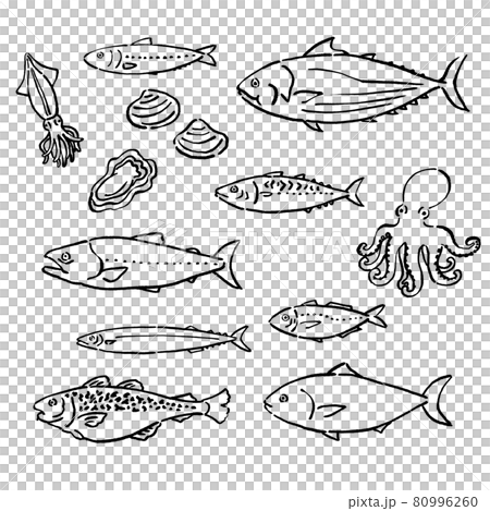 墨絵風の旬の魚のベクターイラストセット 80996260
