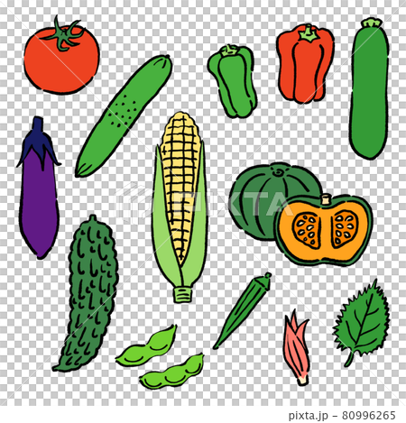 Set of vector illustrations of summer vegetables in sumi-e style 80996265