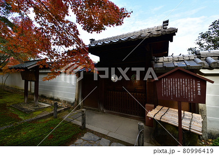 酬恩庵の紅葉 80996419