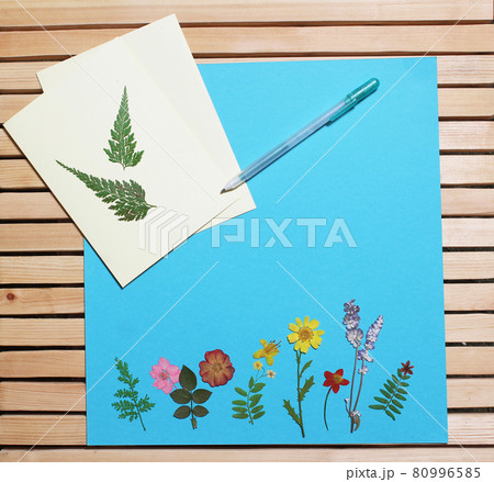 Dried Flowers on Blue Paper Background With Greeting Card Dried Flowers on Blue Paper Background With Greeting Card 80996585