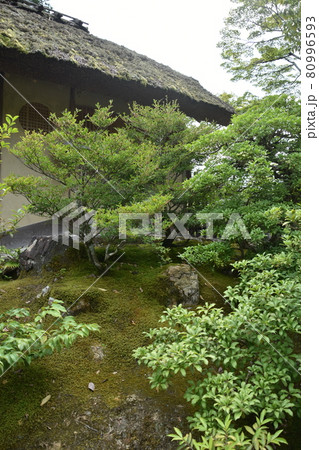 金閣寺　石佳亭　夏の京都 80996593