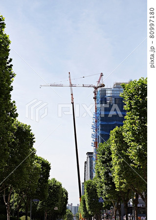 クレーン タワークレーン 重機 80997180