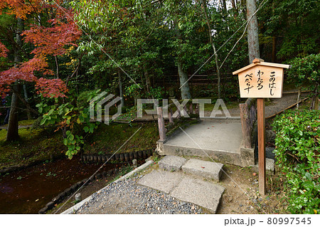 酬恩庵の紅葉 80997545