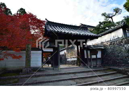 酬恩庵の紅葉 酬恩庵の紅葉 80997550