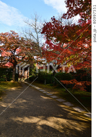 酬恩庵の紅葉 酬恩庵の紅葉 80997551