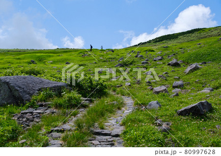 高山植物が咲き乱れる東北地方を代表する名峰、鳥海山(出羽富士) 高山植物が咲き乱れる東北地方を代表する名峰、鳥海山(出羽富士) 80997628