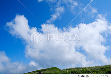 高山植物が咲き乱れる東北地方を代表する名峰、鳥海山(出羽富士) 高山植物が咲き乱れる東北地方を代表する名峰、鳥海山(出羽富士) 80997629