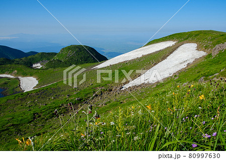 高山植物が咲き乱れる東北地方を代表する名峰、鳥海山（出羽富士） 80997630