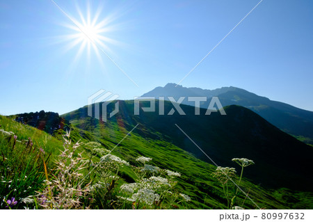 高山植物が咲き乱れる東北地方を代表する名峰、鳥海山(出羽富士) 高山植物が咲き乱れる東北地方を代表する名峰、鳥海山(出羽富士) 80997632
