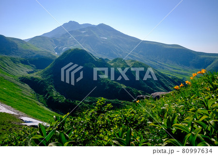 高山植物が咲き乱れる東北地方を代表する名峰、鳥海山（出羽富士） 80997634