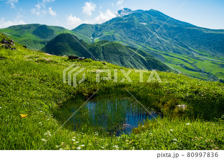 東北地方を代表する名峰、鳥海山(出羽富士) 東北地方を代表する名峰、鳥海山(出羽富士) 80997836