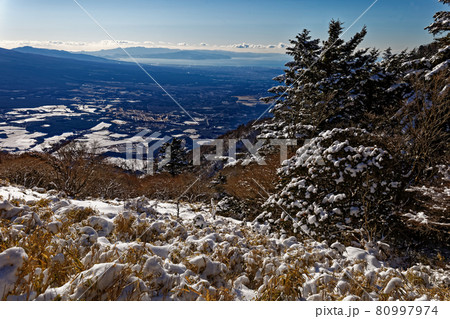 冬の毛無山稜線から見る富士市街と駿河湾 冬の毛無山稜線から見る富士市街と駿河湾 80997974