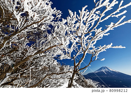 毛無山稜線の樹氷と富士山 80998212