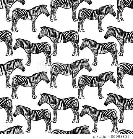 Seamless black and white pattern with african zebras 80998352