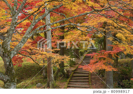【京都府】龍穏寺　秋の紅葉　　京都府南丹市 80998917