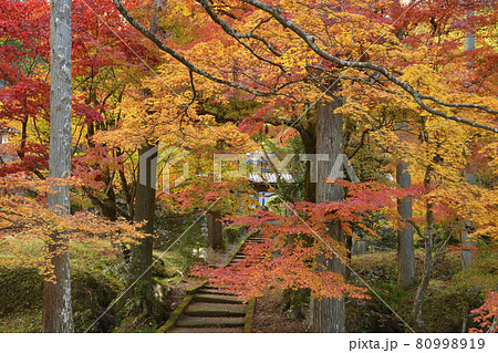 【京都府】龍穏寺　秋の紅葉　　京都府南丹市 80998919