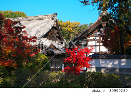宝福寺の紅葉と庫裡・方丈　岡山県総社市 80999289