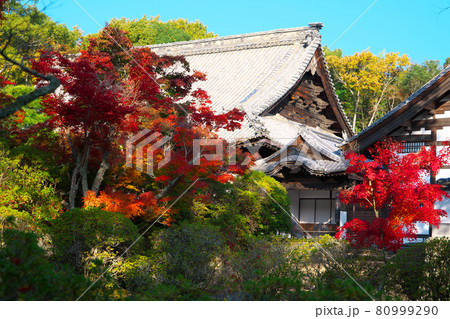 宝福寺の紅葉と方丈・庫裡 岡山県総社市 宝福寺の紅葉と方丈・庫裡 岡山県総社市 80999290
