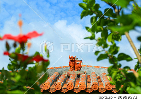 ハイサイ沖縄　青い空と赤いハイビスカスとシーサー 80999573